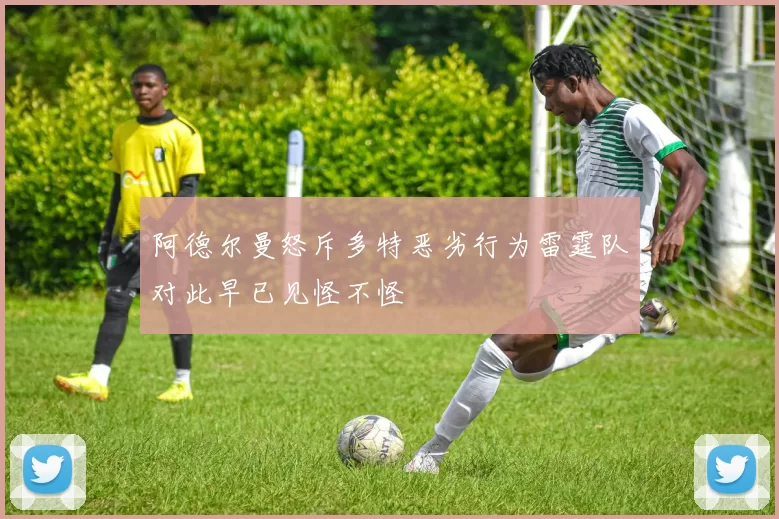 阿德尔曼怒斥多特恶劣行为雷霆队对此早已见怪不怪